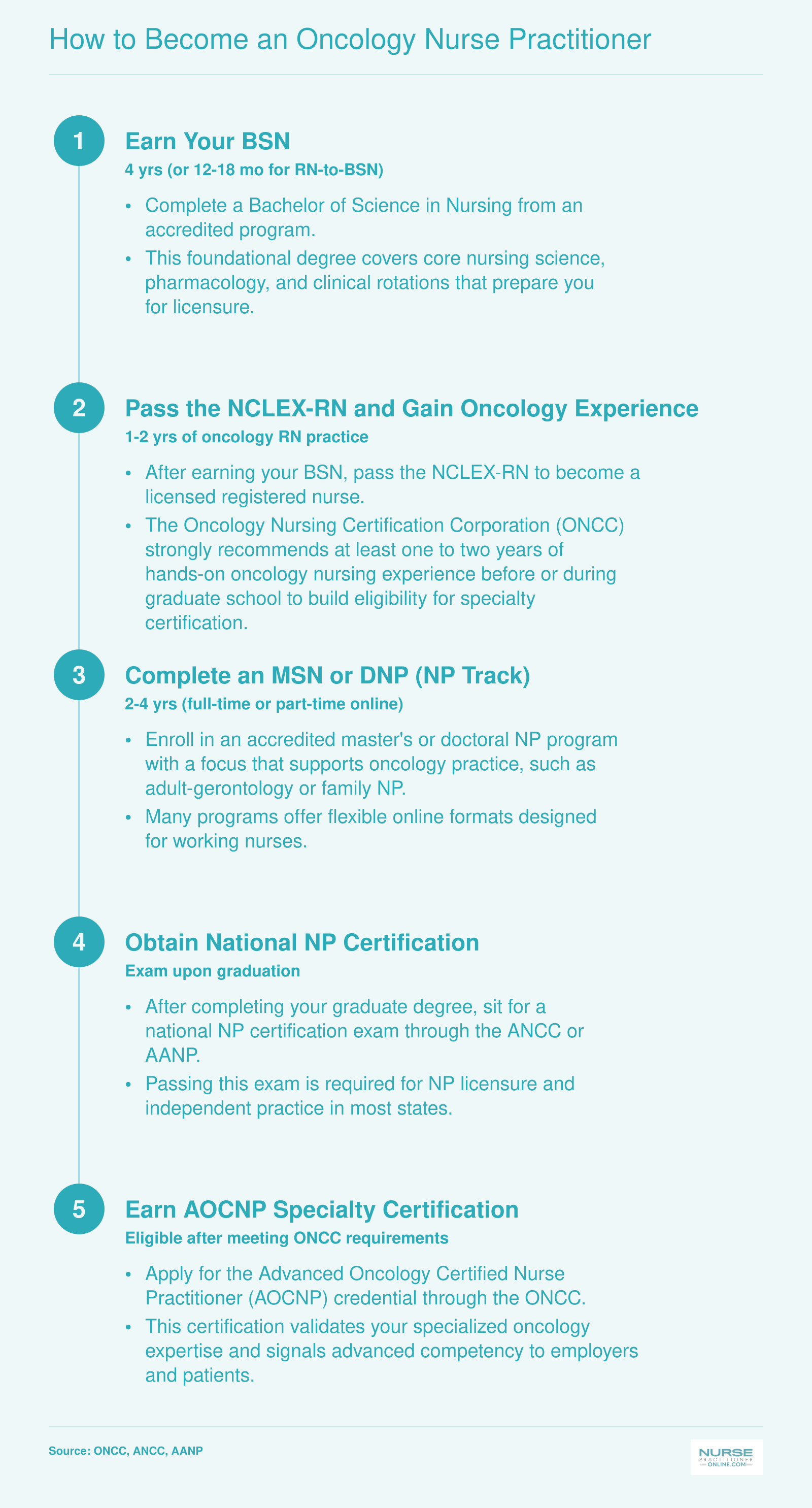 Five-step timeline from BSN through AOCNP certification, spanning approximately 7 to 10 years total