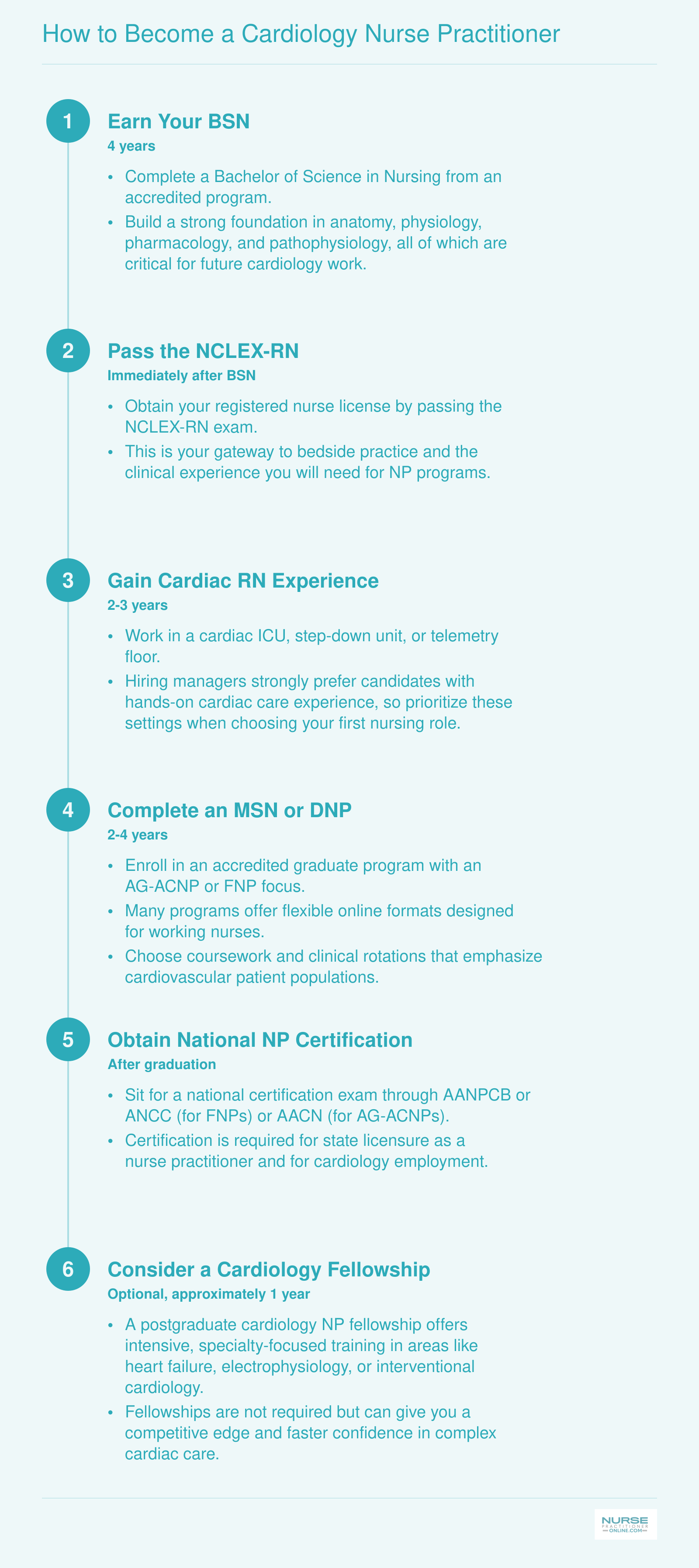 Six-step pathway from BSN through cardiology NP practice spanning roughly 8 to 11 years