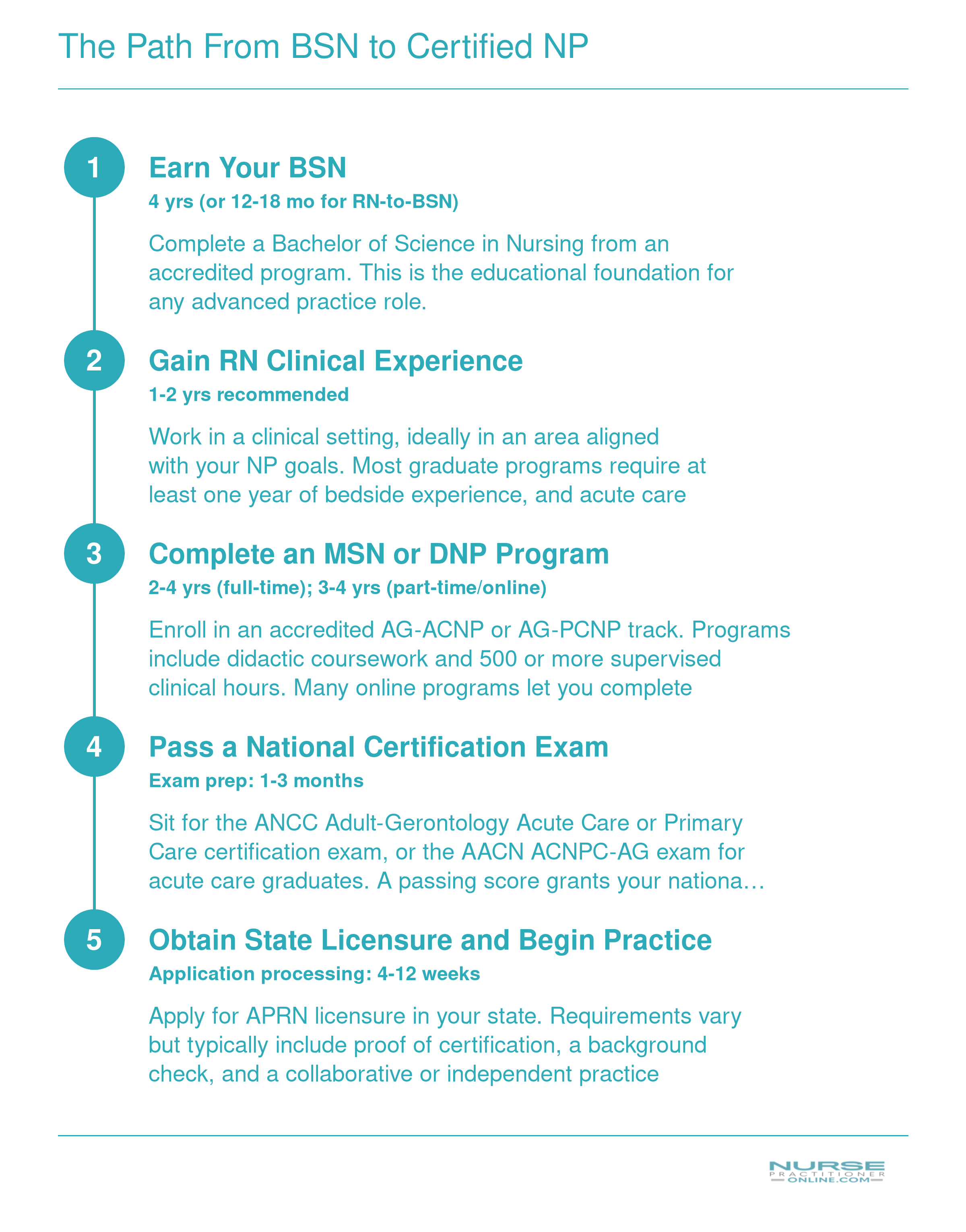 Five-step credentialing timeline from BSN through RN experience, MSN program, national certification, and state licensure to NP practice