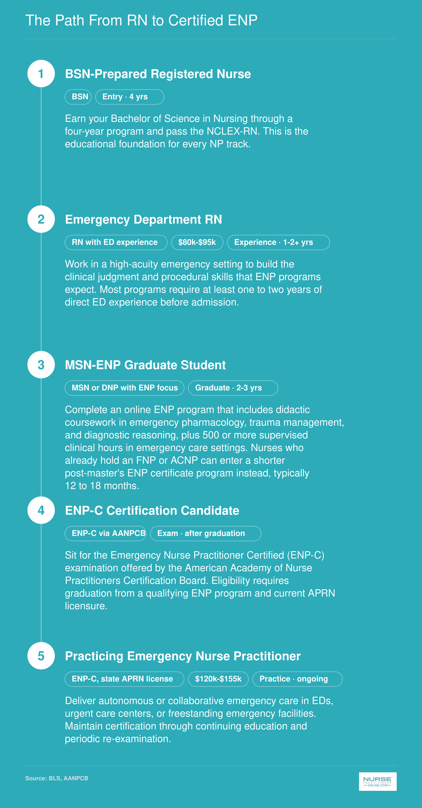 Five-step career progression from BSN through ED nursing experience, MSN-ENP program, ENP-C certification exam, to practicing emergency nurse practitioner, spanning roughly 8 to 12 years