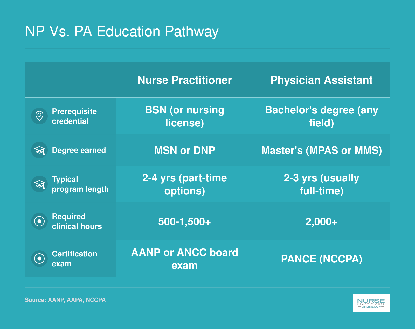Side-by-side comparison of nurse practitioner and physician assistant education requirements including prerequisites, degree, program length, clinical hours, and certification exam