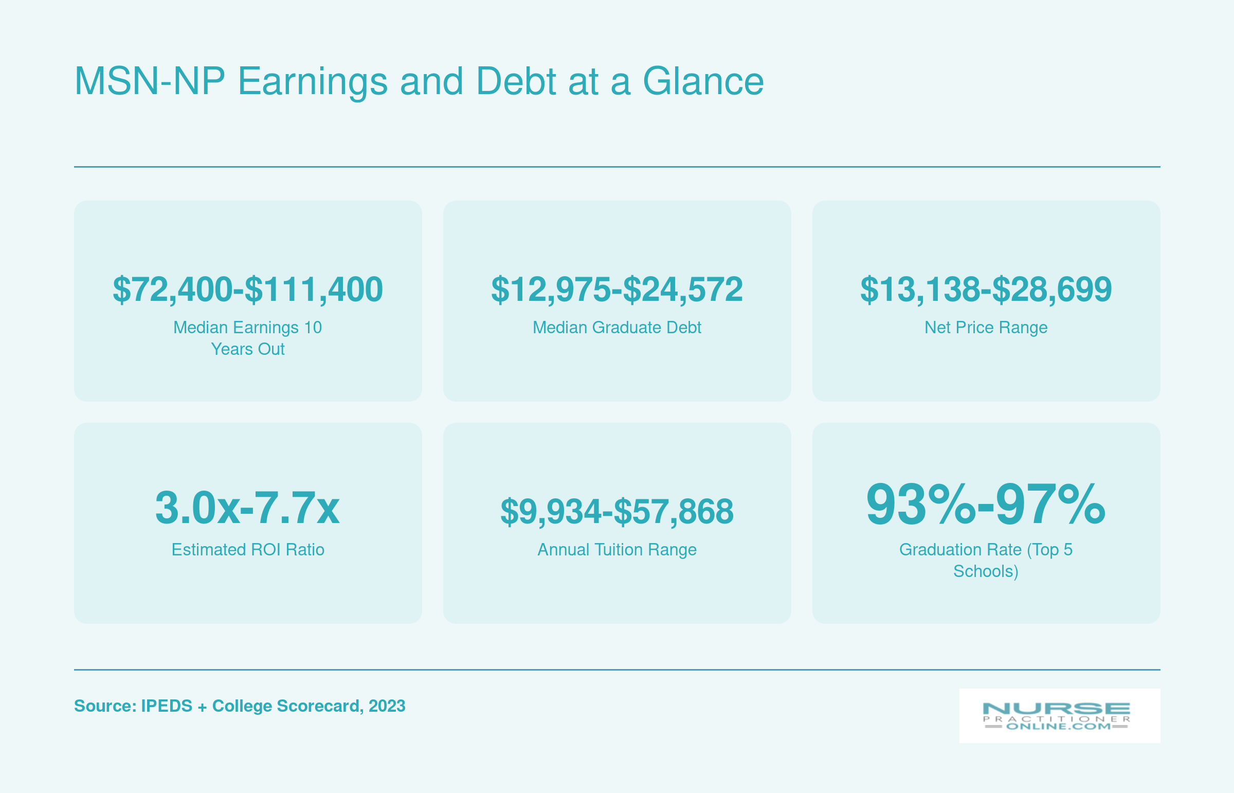 MSN-NP Earnings and Debt at a Glance