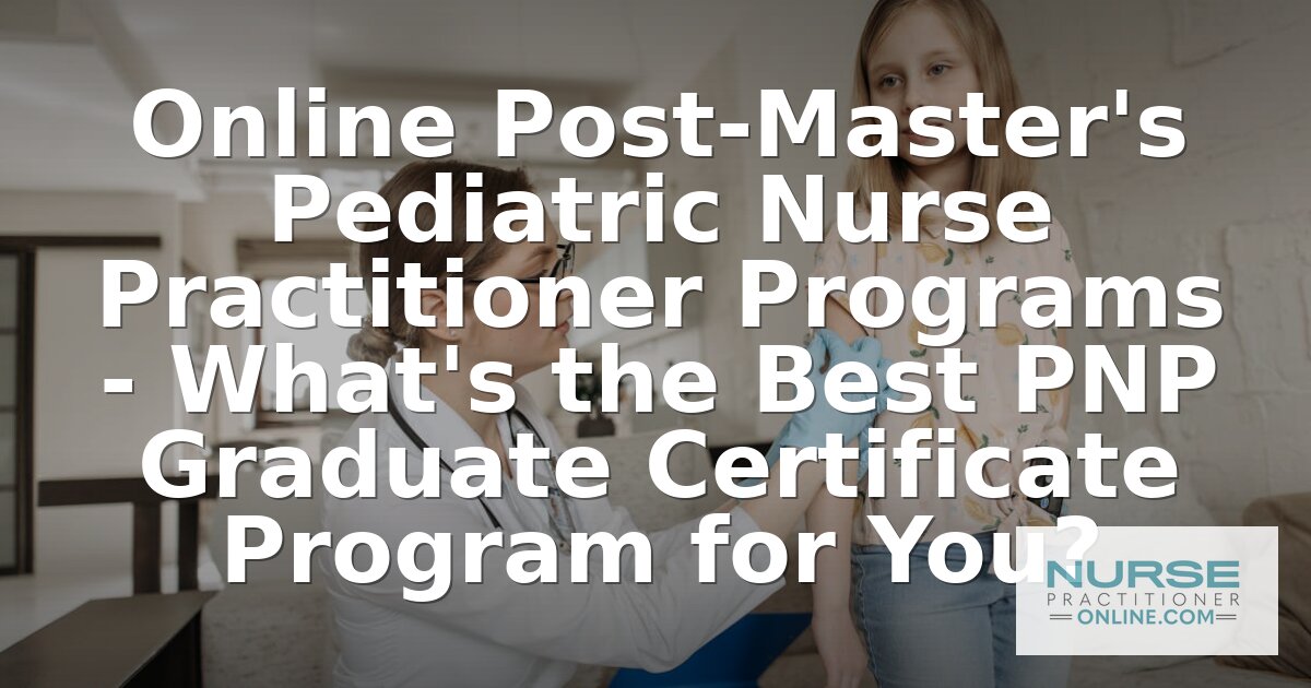 Best Online Post-Master’s PNP Certificate Programs (2026)