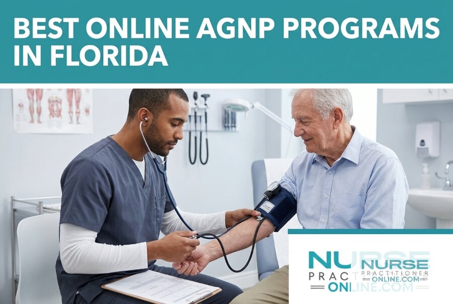 Best Online Adult-Gerontology NP Programs in Florida (2026)