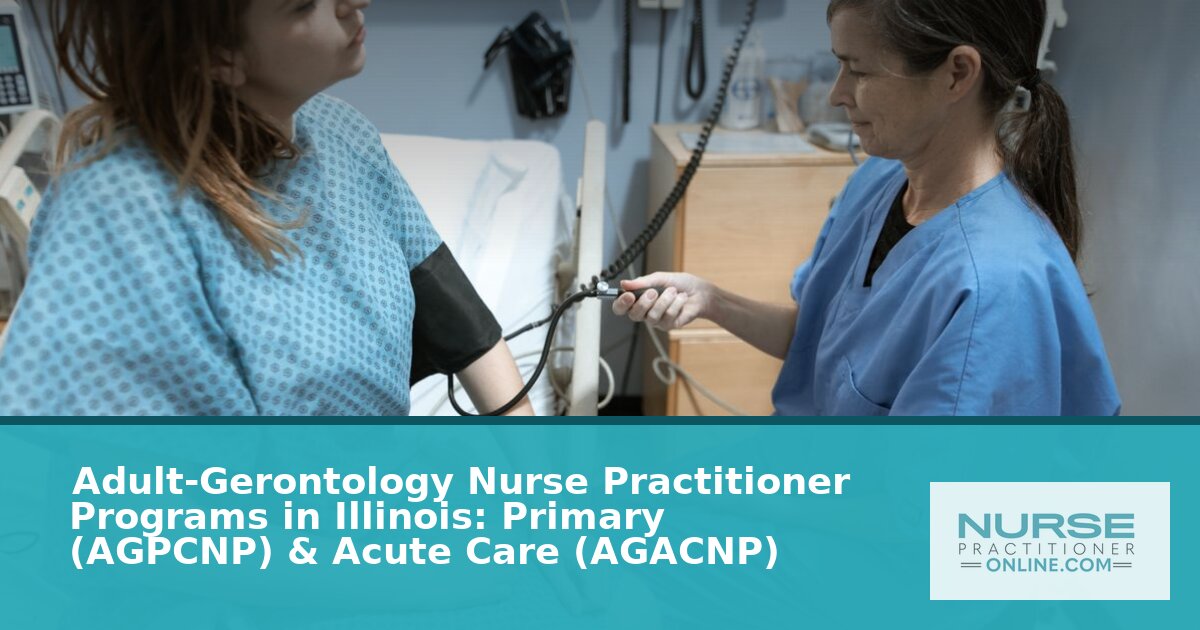 Best Adult-Gerontology NP Programs in Illinois (2026)