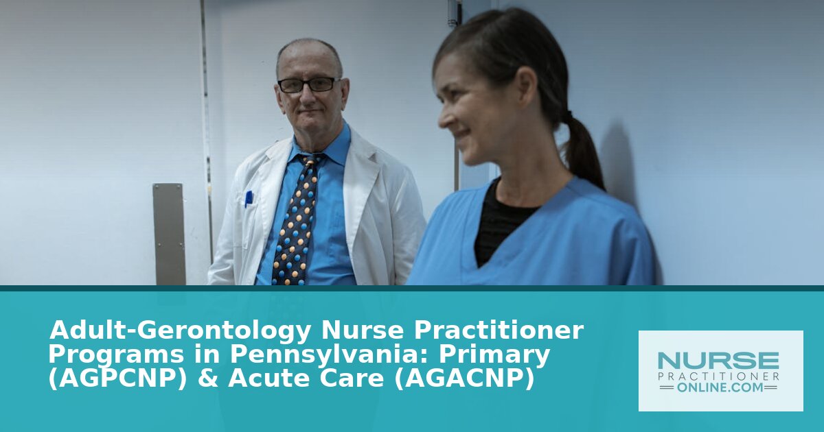 Best Adult-Gerontology NP Programs in Pennsylvania (2026)