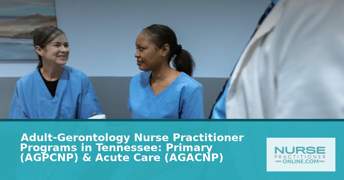 Best Adult-Gerontology NP Programs in Tennessee (2026)