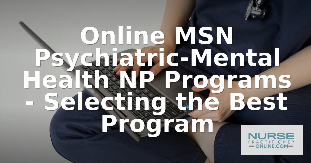 Best Online MSN PMHNP Programs (2026 Rankings)