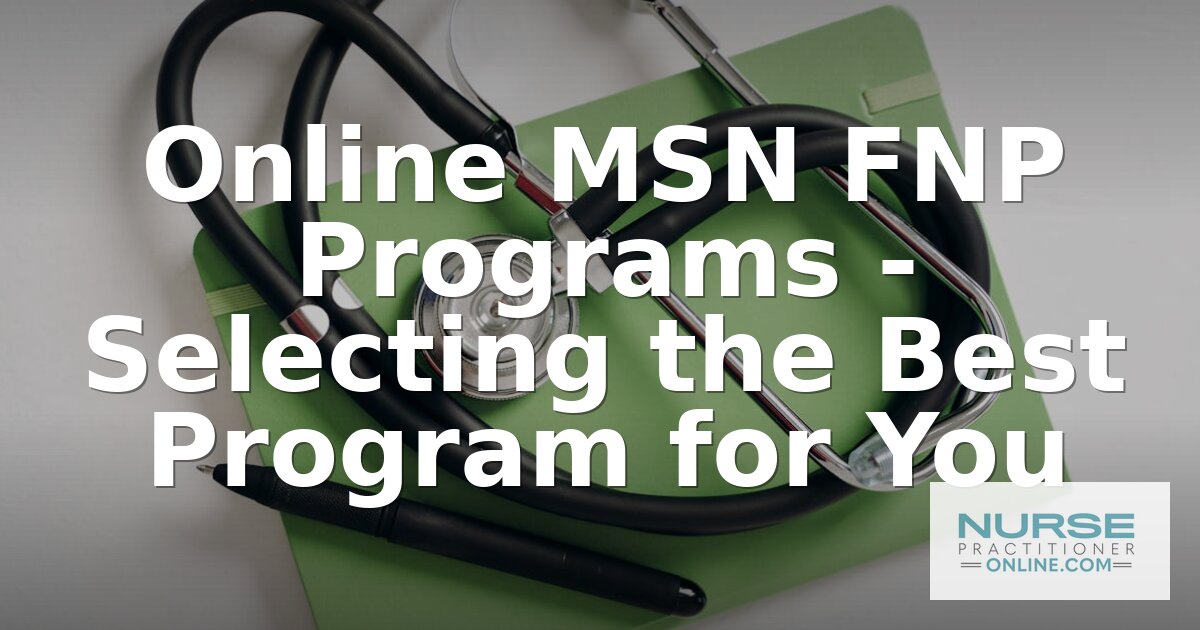 Best Online MSN FNP Programs for 2027 | Ranked & Reviewed