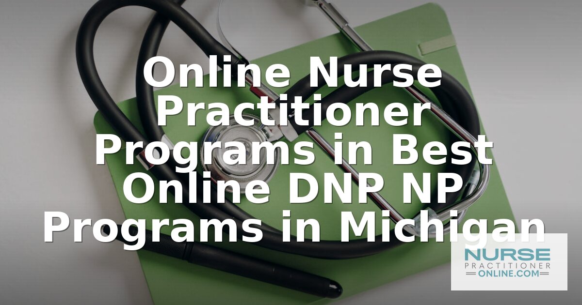 Best Online DNP NP Programs in Michigan (2026 Rankings)