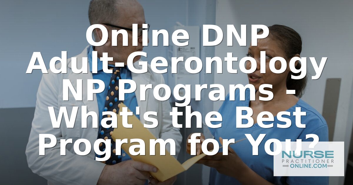 Best Online DNP AGNP Programs 2026 | Top Ranked Schools