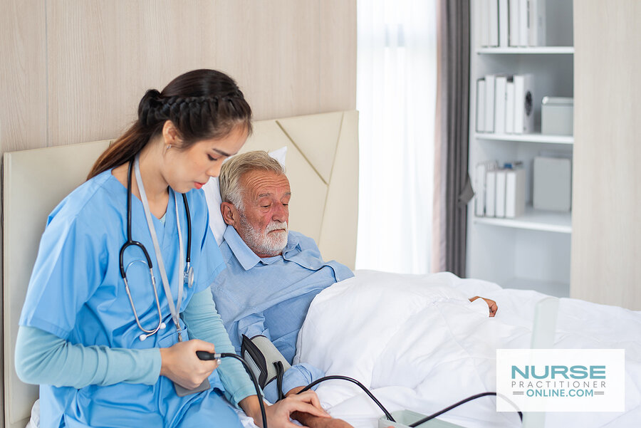 Cardiology Nurse Practitioner: Career & Salary Guide (2026)