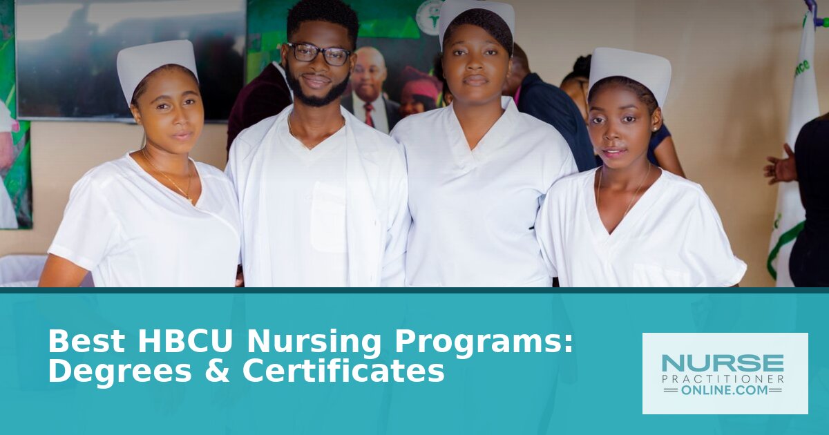 Best HBCU Nursing Schools: Degrees & Certificates
