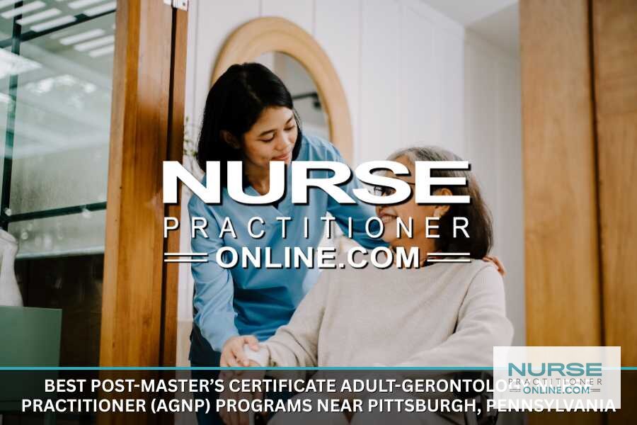 Best Post-Master’s AGNP Certificate Programs Near Pittsburgh
