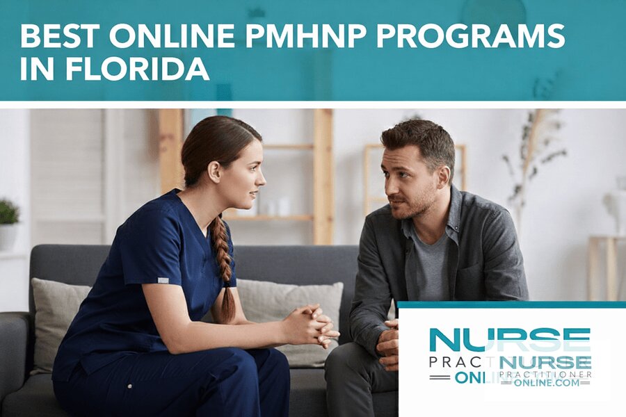 Best Online PMHNP Programs in Florida (2026 Rankings)