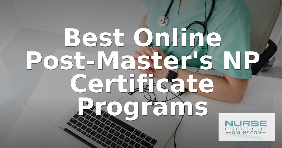Best Online Post-Master’s NP Certificate Programs (2027)
