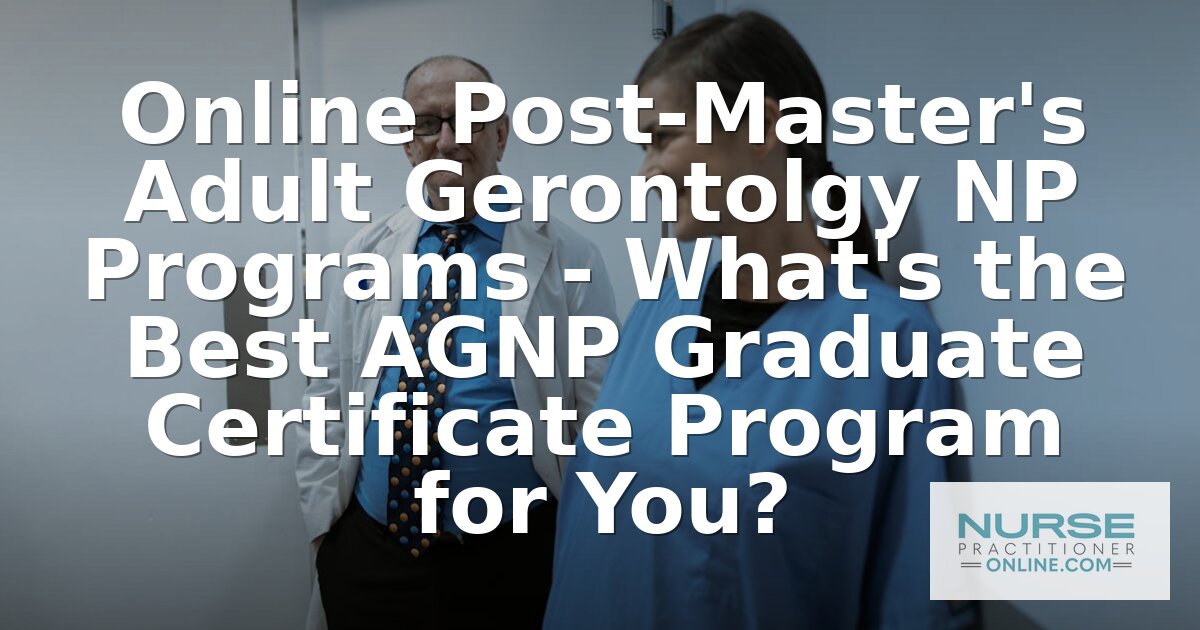 Best Online AGNP Post-Master’s Certificate Programs (2026)