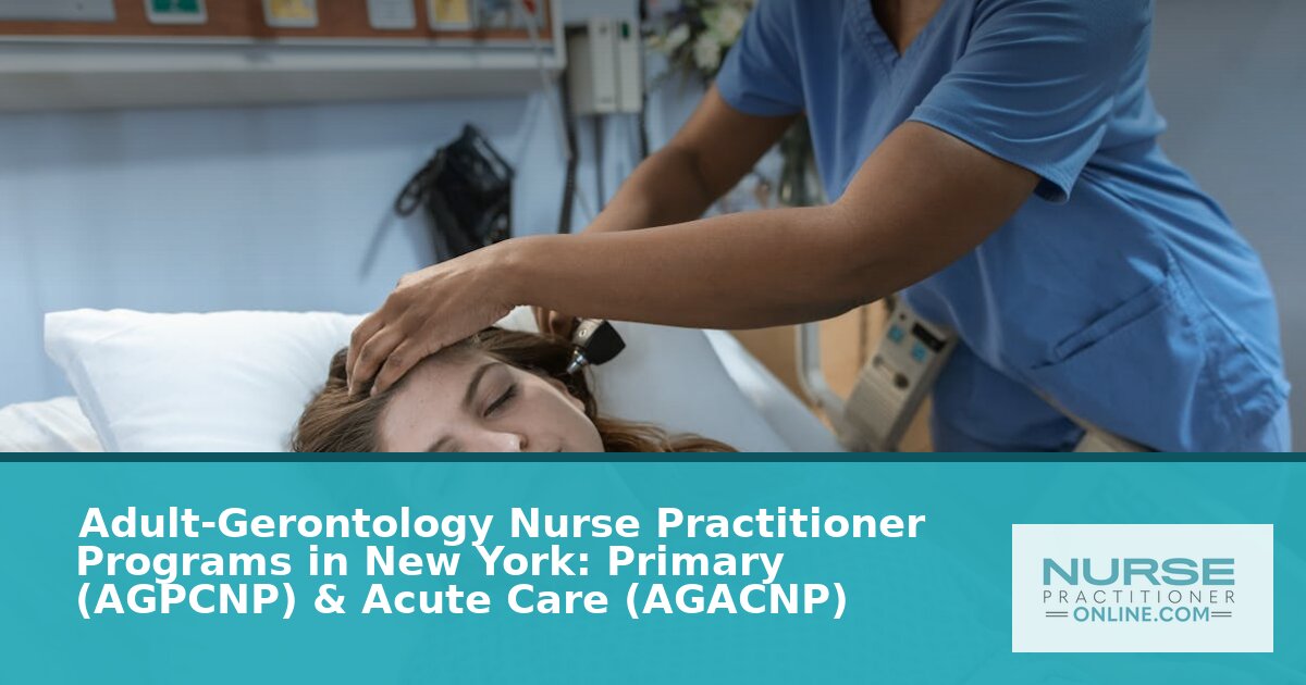 Best Adult-Gerontology NP Programs in New York (2026)