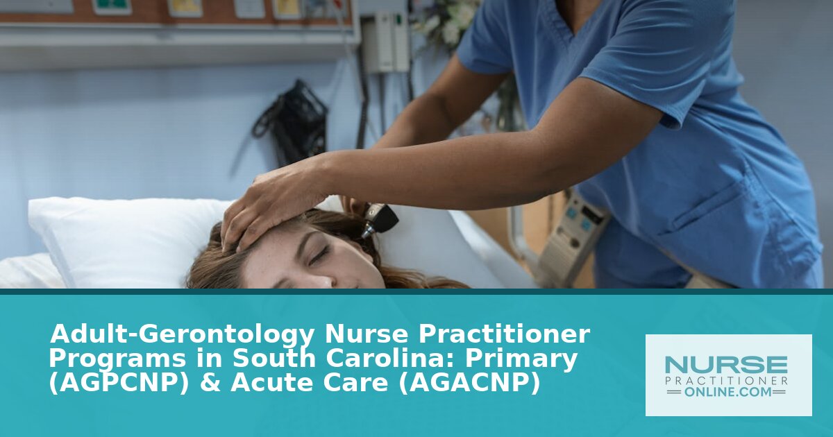 Best Adult-Gerontology NP Programs in South Carolina (2026)