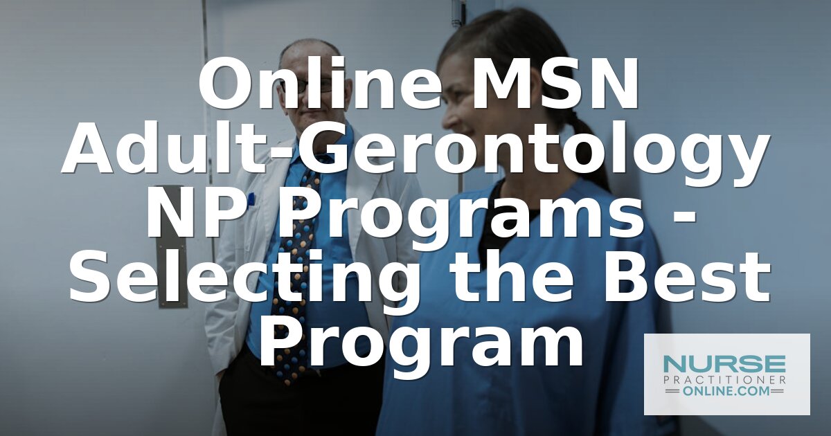 Best Online MSN Adult-Gerontology NP Programs (2026)