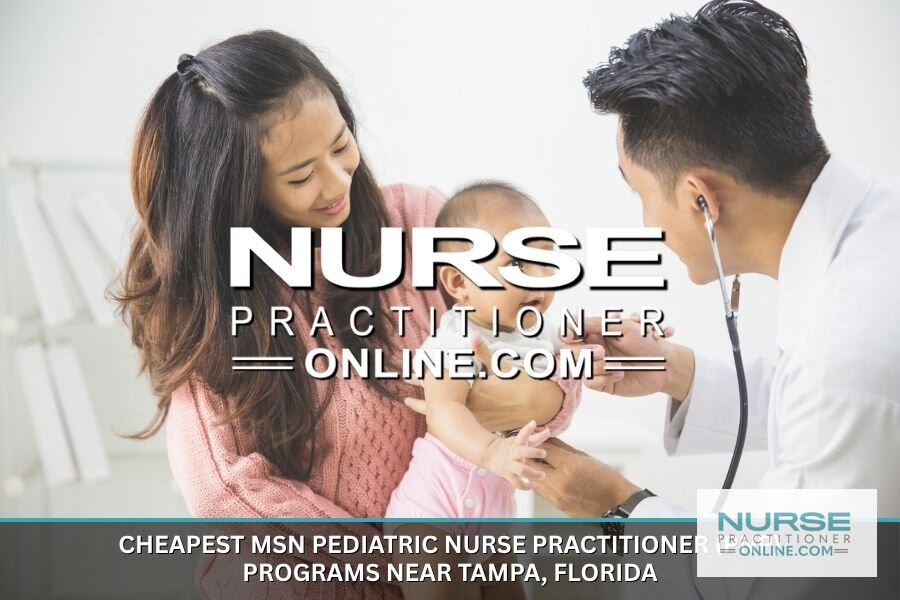 Best MSN Pediatric Nurse Practitioner Programs Near Tampa, FL