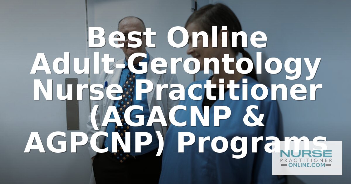 Best Online Adult-Gerontology NP Programs (AGPCNP & AGACNP)