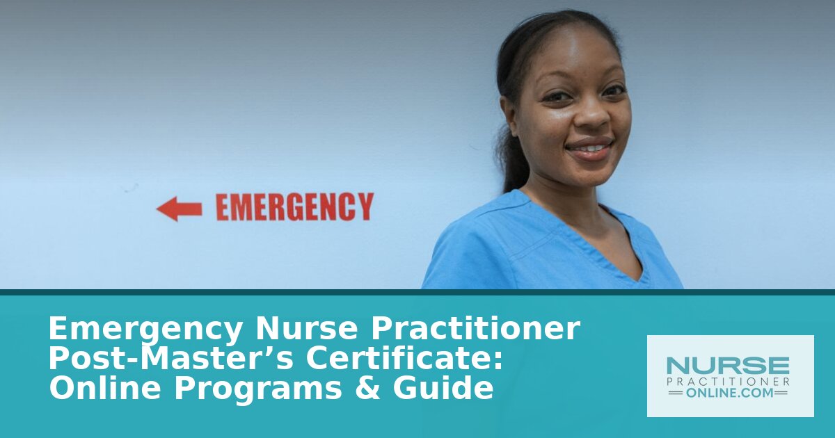 Best Online ENP Post-Master’s Certificate Programs (2026)