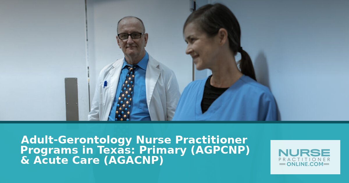 Best Adult-Gerontology NP Programs in Texas (2026)