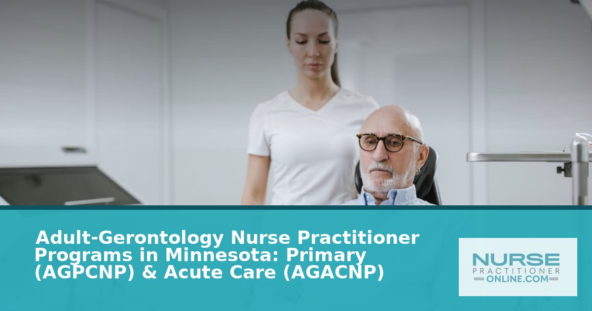 Best Adult-Gerontology NP Programs in Minnesota (2026)