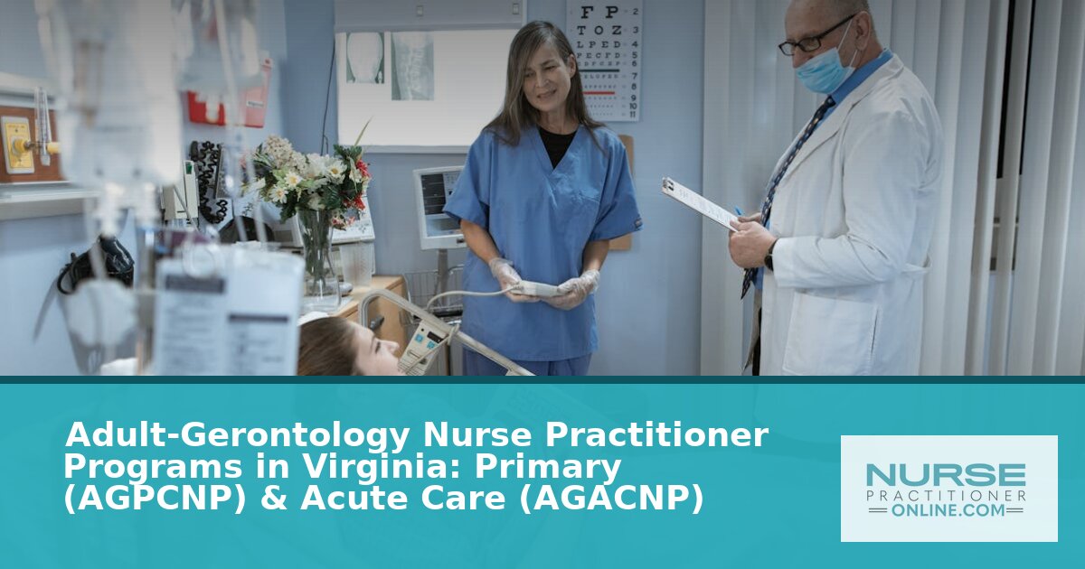 Best Adult-Gerontology NP Programs in Virginia (2026)