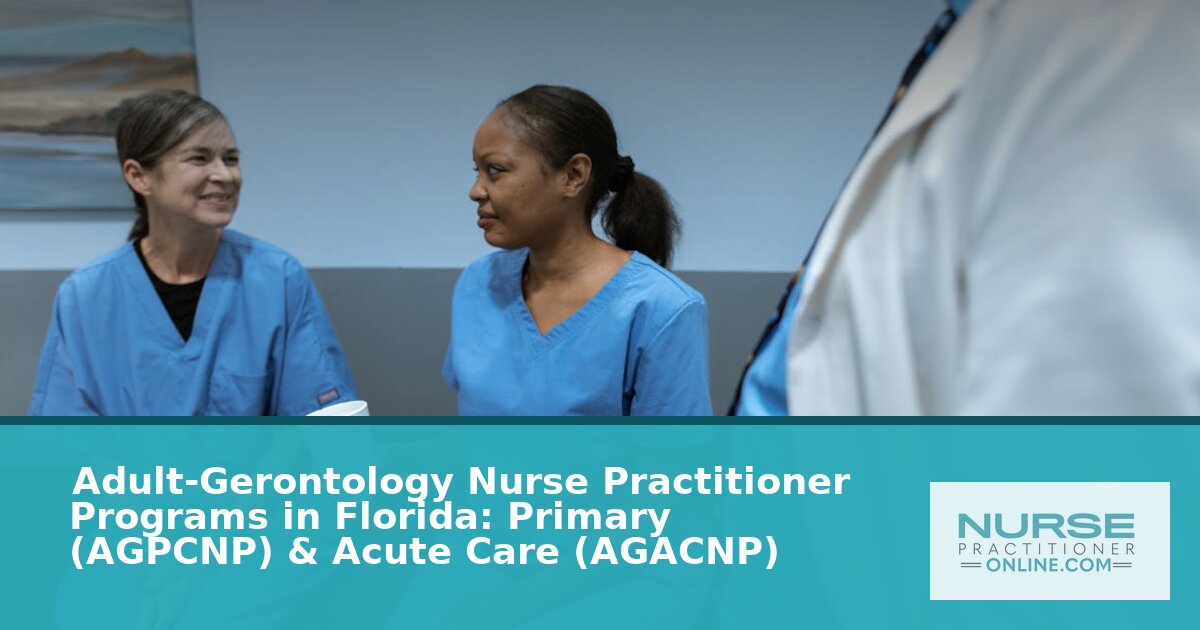 Best Adult-Gerontology NP Programs in Florida (2026)