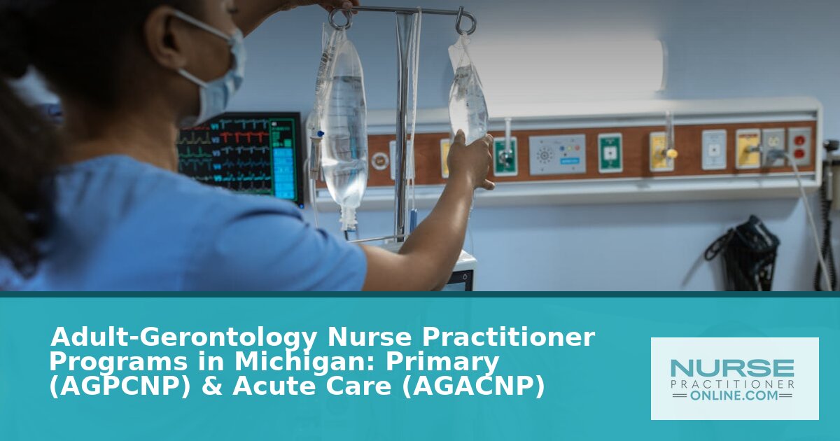 Best Adult-Gerontology NP Programs in Michigan (2026)