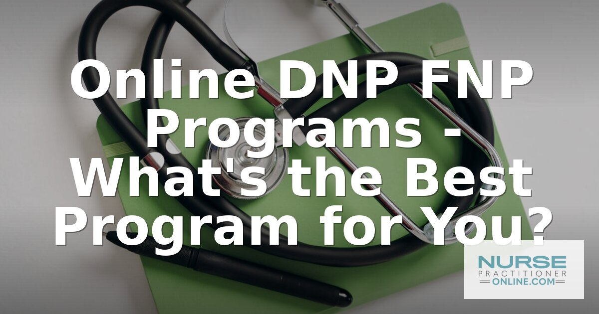 Best Online DNP FNP Programs for 2027 | Ranked & Reviewed