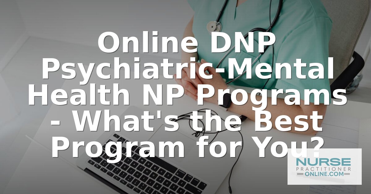 Best Online DNP PMHNP Programs (2027 Rankings)