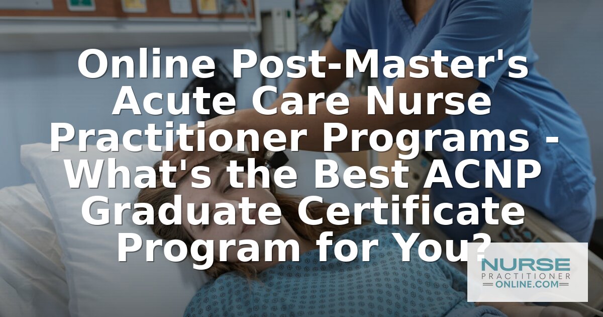 Best Online Post-Master’s ACNP Certificate Programs (2026)