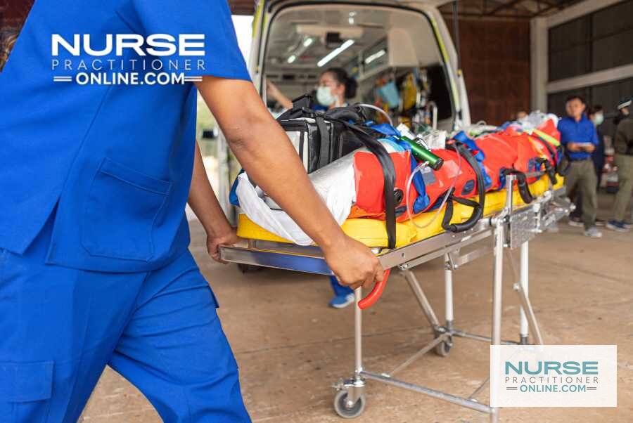 Dual FNP/ENP Programs Online: Guide to Dual Role NP Careers